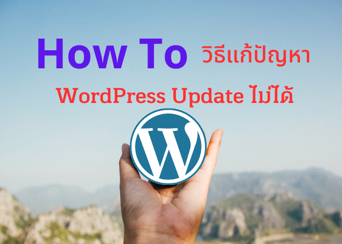 วิธีแก้ปัญหาupdate wordpress ไม่ได้